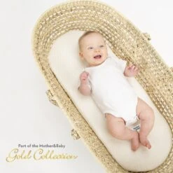 Mother&Baby First Gold Anti-Allergy Foam Moses Basket Mattress - Small (66 X 28cm) 6 Mother&Baby First Gold Anti-Allergy Foam Moses Basket Mattress - Small (66 X 28cm) -Baby Product Store 3 mother and baby first gold moses basket mattress a98f4c5a 4787 4e6f 9b4e f4ea08670ff1