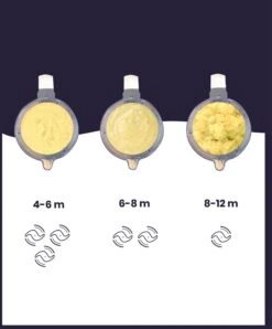 Babymoov Nutribaby+ XL 6-in-1 Baby Food Processor - Blue & Rose Gold -Baby Product Store babymoov babymoov nutribaby xl 6 in 1 baby food processor blue rose gold 33291179032741