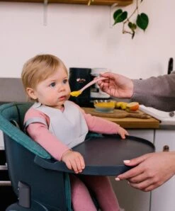 Beaba Set Of 2 Silicone Bibs - Light Mist/Sage Green -Baby Product Store beaba baby weaning beaba set of 2 silicone bibs light mist sage green 34450121392293