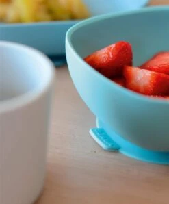 Beaba Silicone Meal Set (4 Pk) - Jungle Mist -Baby Product Store beaba baby weaning beaba silicone meal set 4 pk jungle mist 34448933355685