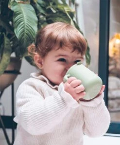 Beaba Silicone Weaning Essentials Meal Set - Sage Green -Baby Product Store beaba baby weaning beaba silicone weaning essentials meal set sage green 34447987376293