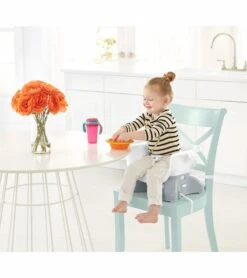 Fisher Price Fisher-Price SpaceSaver High Chair - Pink Ellipse -Baby Product Store fisher price spacesaver high chair pink ellipse 245