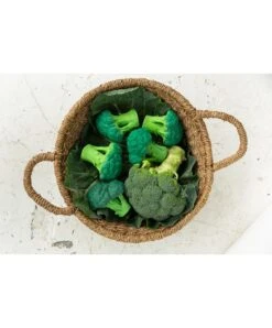 Oli & Carol - Brucy The Brocolli Teether -Baby Product Store oli carol oil carol brucy the brocolli teether 33876224278693